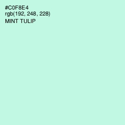 #C0F8E4 - Mint Tulip Color Image