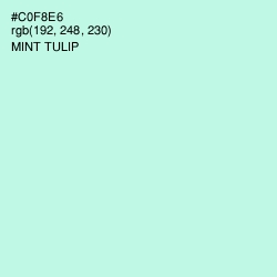 #C0F8E6 - Mint Tulip Color Image