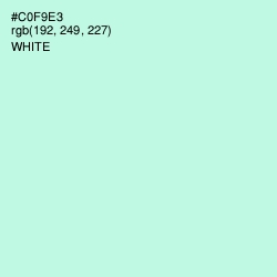 #C0F9E3 - Mint Tulip Color Image