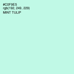 #C0F9E5 - Mint Tulip Color Image