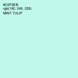 #C0F9EB - Mint Tulip Color Image