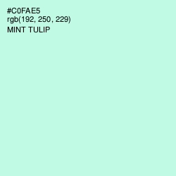 #C0FAE5 - Mint Tulip Color Image