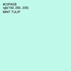 #C0FAEB - Mint Tulip Color Image