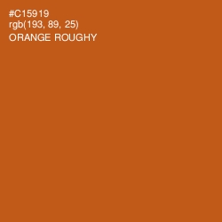 #C15919 - Orange Roughy Color Image