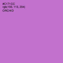 #C171CC - Orchid Color Image