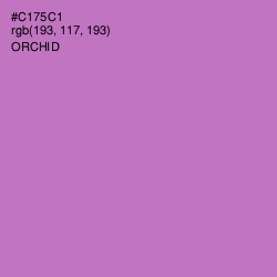 #C175C1 - Orchid Color Image