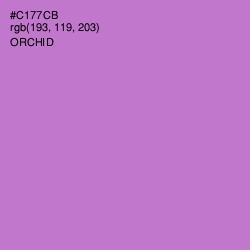 #C177CB - Orchid Color Image