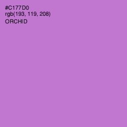 #C177D0 - Orchid Color Image