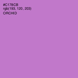 #C178CB - Orchid Color Image