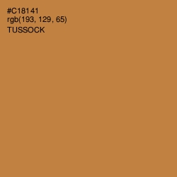 #C18141 - Tussock Color Image