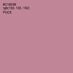 #C18598 - Puce Color Image