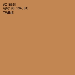 #C18651 - Twine Color Image