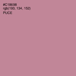 #C18698 - Puce Color Image