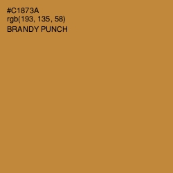 #C1873A - Brandy Punch Color Image