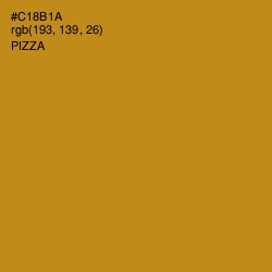 #C18B1A - Pizza Color Image