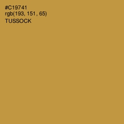 #C19741 - Tussock Color Image