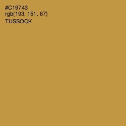 #C19743 - Tussock Color Image