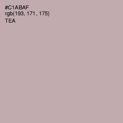 #C1ABAF - Tea Color Image