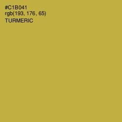 #C1B041 - Turmeric Color Image