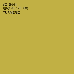#C1B044 - Turmeric Color Image