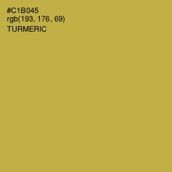 #C1B045 - Turmeric Color Image