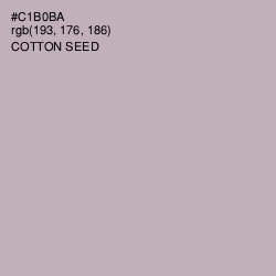 #C1B0BA - Cotton Seed Color Image