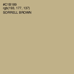 #C1B189 - Sorrell Brown Color Image