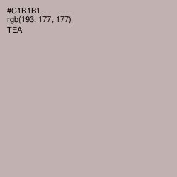 #C1B1B1 - Tea Color Image