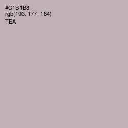 #C1B1B8 - Tea Color Image