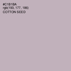 #C1B1BA - Cotton Seed Color Image