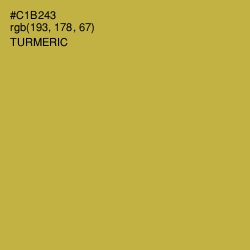 #C1B243 - Turmeric Color Image