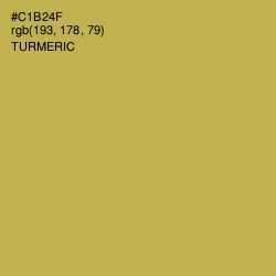 #C1B24F - Turmeric Color Image
