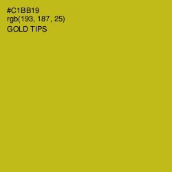#C1BB19 - Gold Tips Color Image