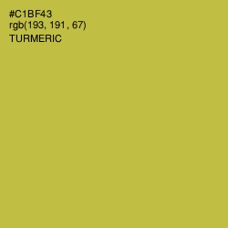 #C1BF43 - Turmeric Color Image