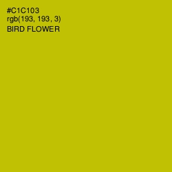 #C1C103 - Bird Flower Color Image