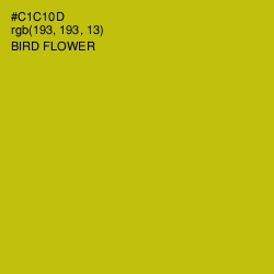 #C1C10D - Bird Flower Color Image