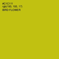 #C1C111 - Bird Flower Color Image