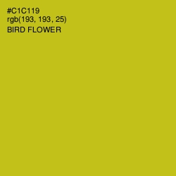 #C1C119 - Bird Flower Color Image