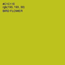 #C1C11E - Bird Flower Color Image