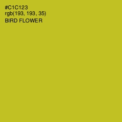 #C1C123 - Bird Flower Color Image