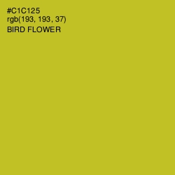 #C1C125 - Bird Flower Color Image