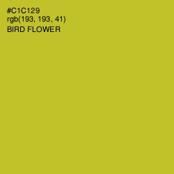 #C1C129 - Bird Flower Color Image