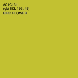 #C1C131 - Bird Flower Color Image