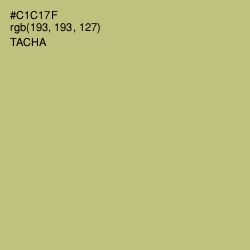 #C1C17F - Tacha Color Image