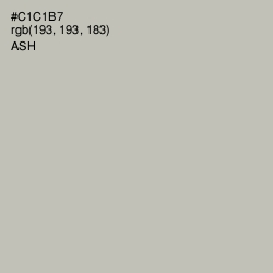 #C1C1B7 - Ash Color Image