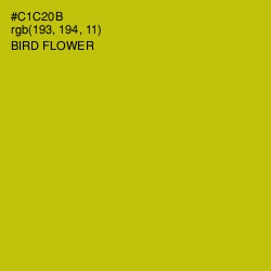 #C1C20B - Bird Flower Color Image