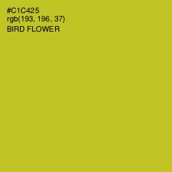 #C1C425 - Bird Flower Color Image