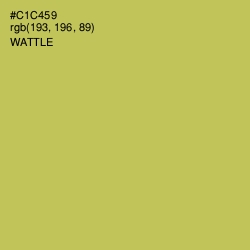 #C1C459 - Wattle Color Image
