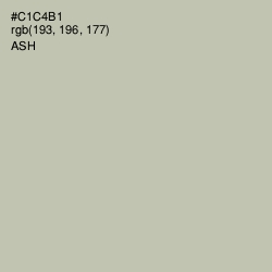 #C1C4B1 - Ash Color Image