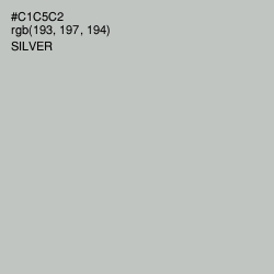 #C1C5C2 - Silver Color Image